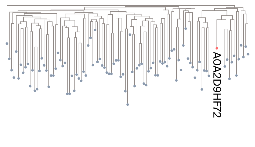 Phylogenetic tree topology for MSA with poor model fit showing branching structure.