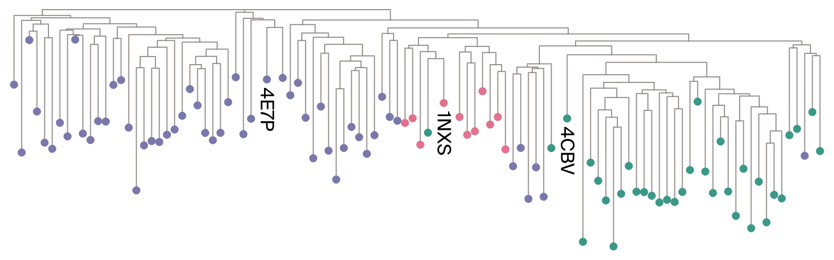 Phylogenetic tree of response regulator protein family with leaves colored by subfamily to illustrate the evolutionary structure used as ground truth.