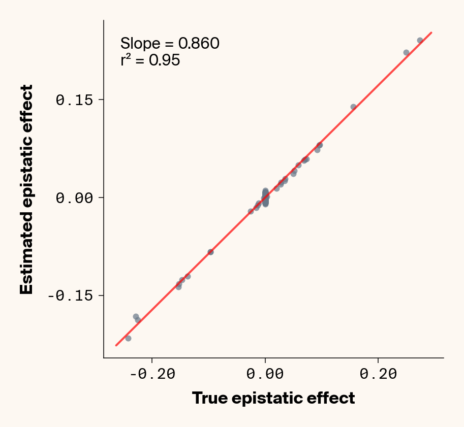 Scatter plots of ground truth epistatic interactions vs. interactions estimated through genotype specific ELM locus sensitivities showing very high concordance between both values