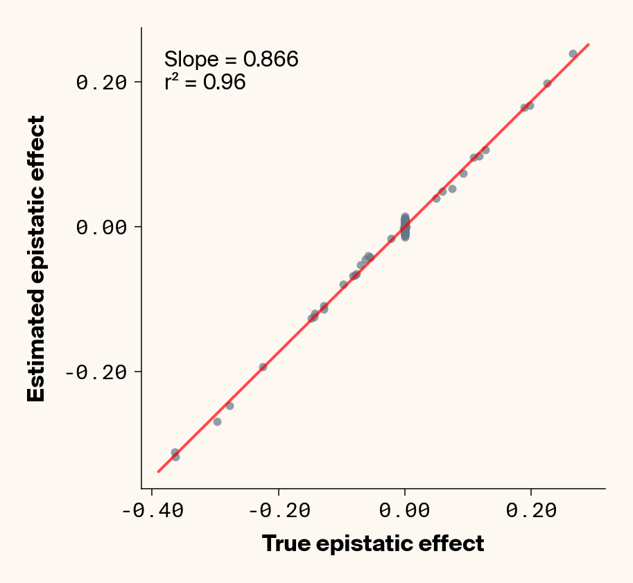 Scatter plots of ground truth epistatic interactions vs. interactions estimated through genotype specific ELM locus sensitivities showing very high concordance between both values