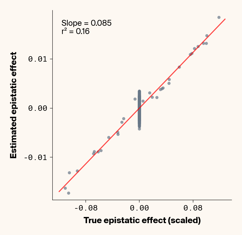 Scatter plots of ground truth epistatic interactions vs. interactions estimated through genotype specific ELM locus sensitivities showing strong concordance between both values even with added environmental noise when results are averaged over replicates