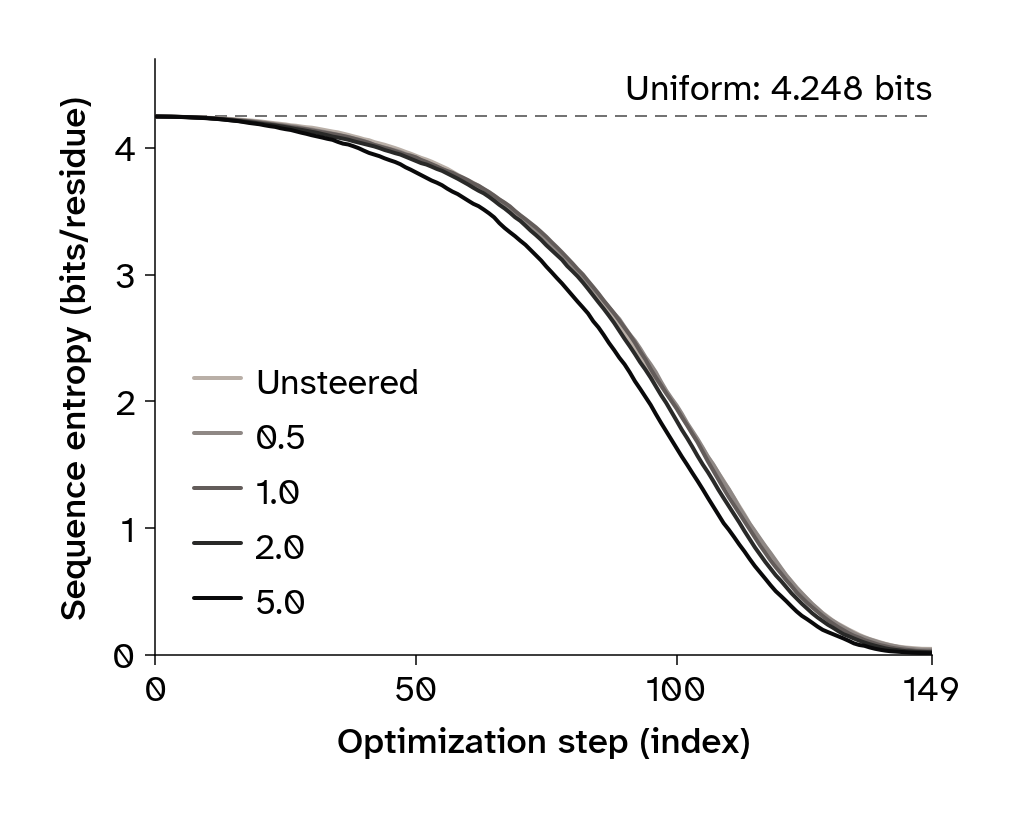 Line plots of median sequence entropy over optimization steps at different steering weights.