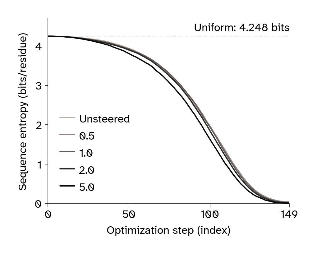 Line plots of median sequence entropy over optimization steps at different steering weights.