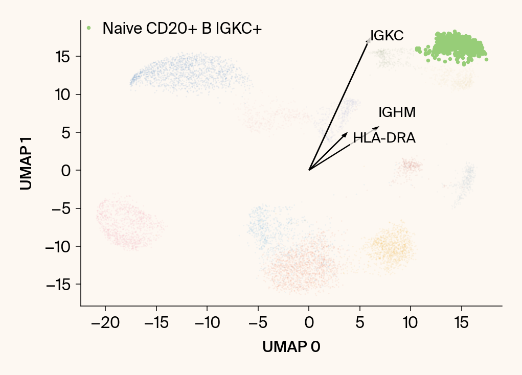 Scatter plot of the UMAP embedding with the class Naive CD20+ B IGKC+ highlighted, with the top gene features overlaid as vectors.
