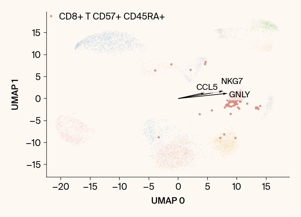 Scatter plot of the UMAP embedding with the class CD8+ T CD57+ CD45RA+ highlighted, with the top gene features overlaid as vectors.