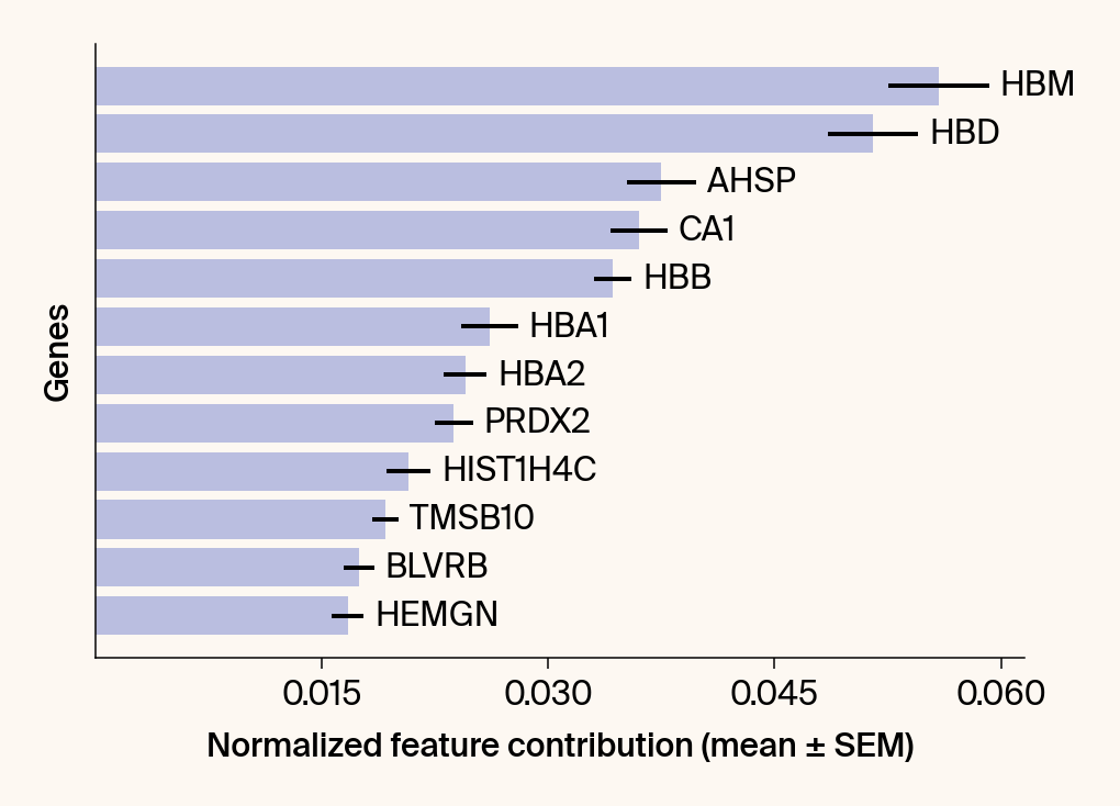 Horizontal bar plot of the top gene features for the class Erythroblast.