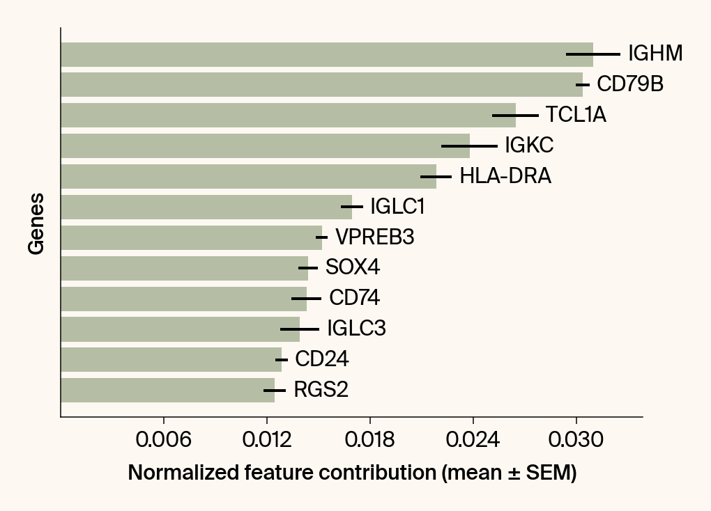 Horizontal bar plot of the top gene features for the class Transitional B.