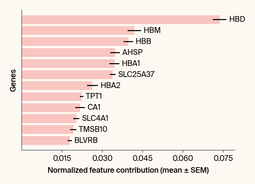 Horizontal bar plot of the top gene features for the class Normoblast.