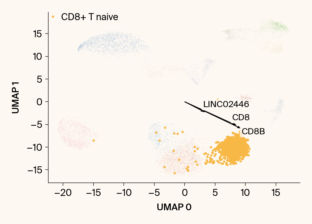 Scatter plot of the UMAP embedding with the class CD8+ T naive highlighted, with the top gene features overlaid as vectors.
