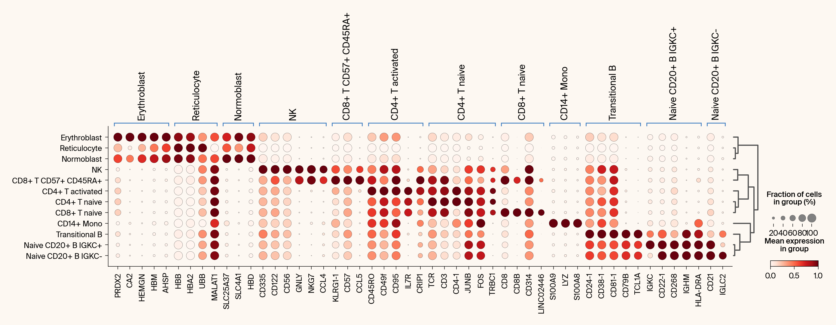 Dot plot from the differential expression analysis, showing the differential expression set of top gene features as well as the Jacobian set of top gene features, where both sets have a similar activation.