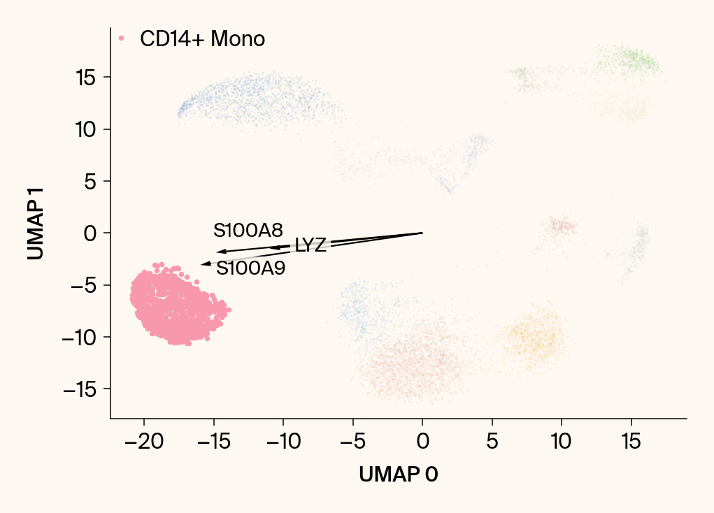 Scatter plot of the UMAP embedding with the class CD14+ mono highlighted, with the top gene features overlaid as vectors.