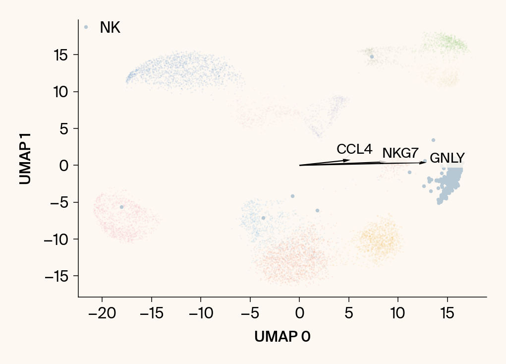 Scatter plot of the UMAP embedding with the class NK highlighted, with the top gene features overlaid as vectors.