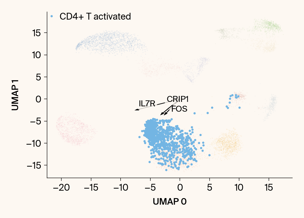 Scatter plot of the UMAP embedding with the class CD4+ T activated highlighted, with the top gene features overlaid as vectors.
