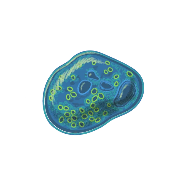 Protist (Abeoforma whisleri) scientific illustration