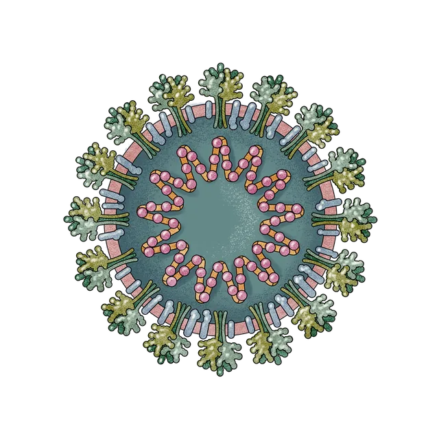 COVID-19 virus (SARS-CoV-2) scientific illustration