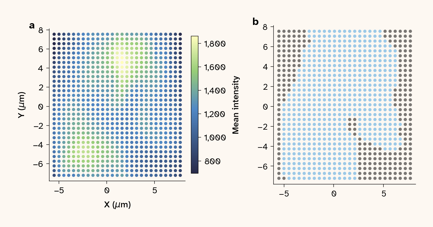 Two-panel figure for the 532 nm dataset. (a) Spatial scatter map of mean spectral intensity per pixel. (b) Binary mask retaining on-cell points (blue) and excluding background (gray) after applying an intensity threshold.