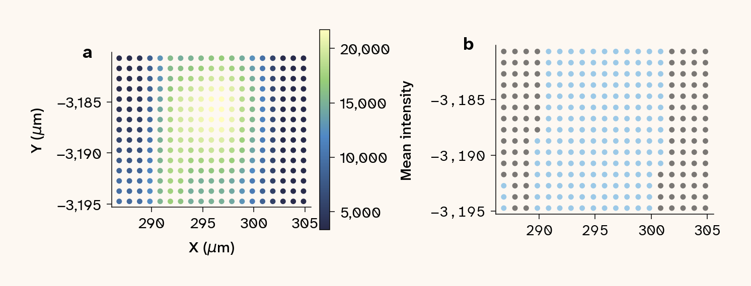 Two-panel figure for the 785 nm dataset. (a) Spatial scatter map of mean spectral intensity per pixel. (b) Binary mask retaining on-cell points (blue) and excluding background (gray) after applying an intensity threshold.