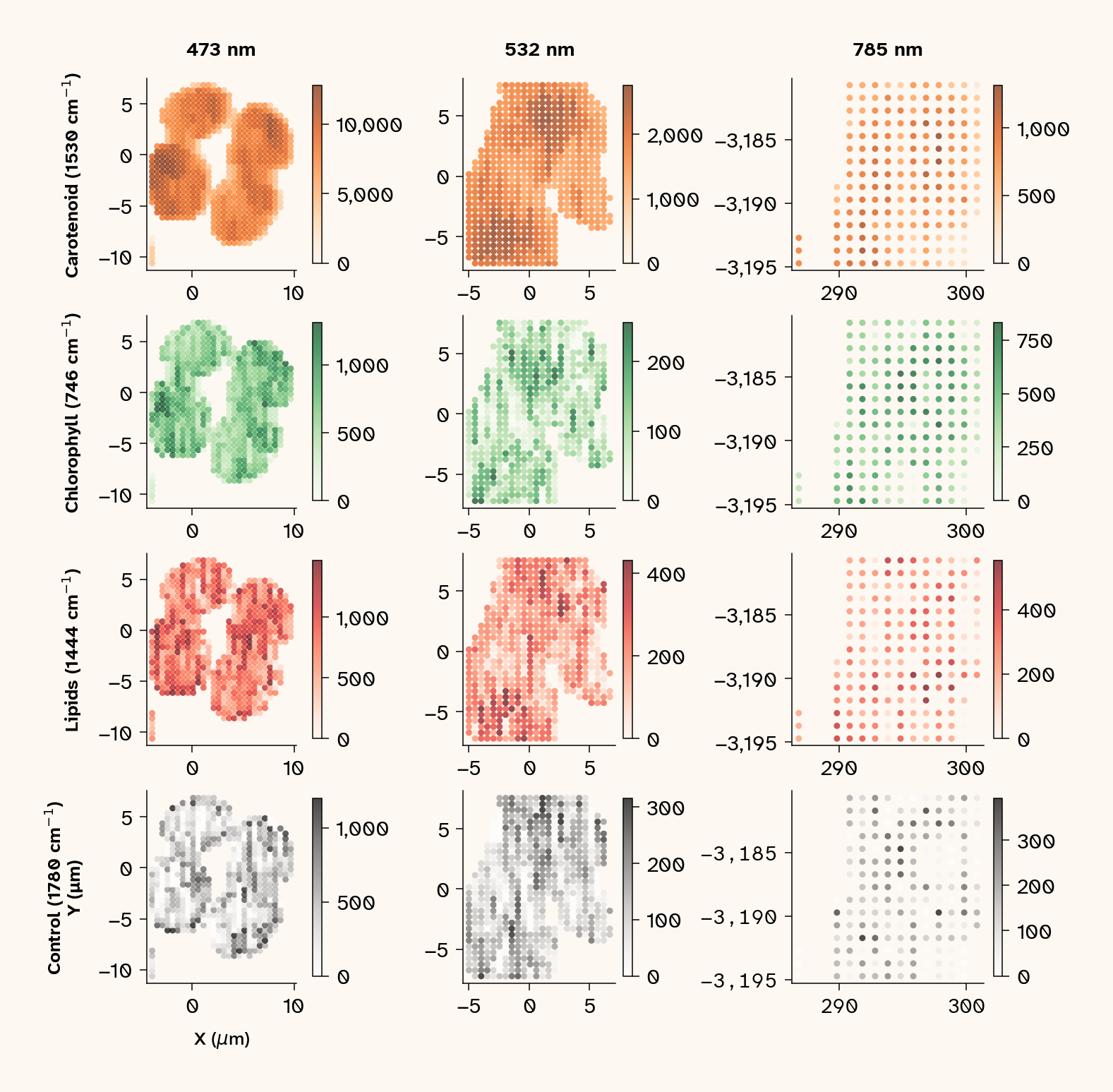 Grid of spatial intensity maps. Rows: marker wavenumbers for Carotenoid (1530 cm⁻¹), Chlorophyll (746 cm⁻¹), Lipids (1444 cm⁻¹), and a Control (1780 cm⁻¹). Columns: 473, 532, and 785 nm excitation. Empty cells indicate the marker wavenumber is out of range for that dataset.